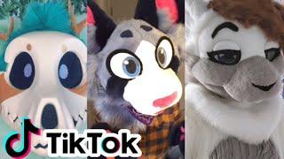 Furry TikTok Compilation #4