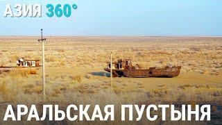 Аральская пустыня | АЗИЯ 360°