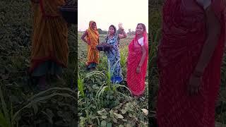 #song #geet #lokgeet #folksong #rajasthani #lokgeetvivah #vivahageet #weddingmusic #comedy