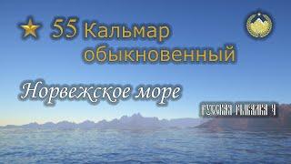  Норвежское море  Кальмар обыкновенный 