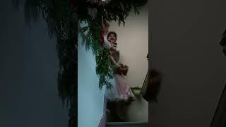 It's Beginning to Feel Like Christmas... in Avonlea