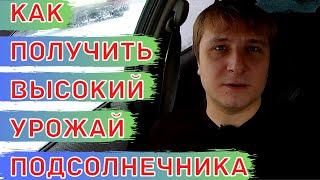 Схема питания для подсолнечника. Минеральные удобрения и листовые подкормки