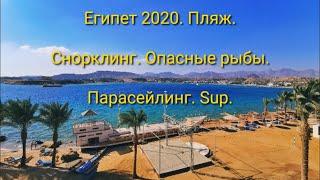 Египет, ноябрь 2020 года |  Шарм-эль-Шейх | Пляж, снорклинг (опасные рыбы), сап, парасейлинг.