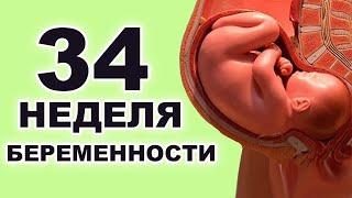 Что происходит с ребенком и мамой на 34 неделе беременности? 8 месяц беременности. Третий триместр.