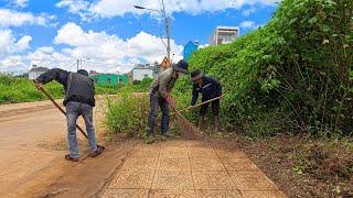 Transform Overgrown Grass Sidewalk. From Lush Jungle to Airy Path