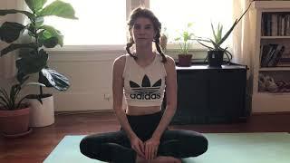 Yoga With Adriene For Trump Supporters