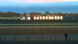 Aqueduct Racetrack