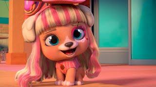 BIRTHDAY PARTY  VIP Pets  CARTOONS for KIDS in ENGLISH | PWR CLUB in English
