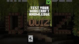 MINECRAFT PRO?