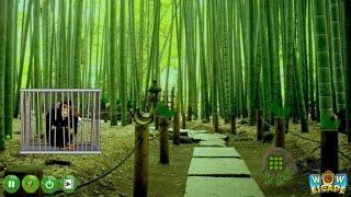 Wow Bamboo Forest Monkey Escape walkthrough WowEscape.