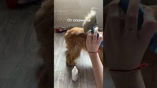 Никогда не думала, что от спрея может быть такой эффек  WB:271212408 Рекомендую попробовать 