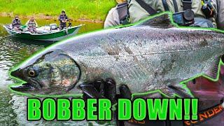 Tributary Fishing For SPRING CHINOOK Salmon! (Bonus Salmon Tutorial)