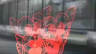 BoBuR MiX HD 2001 Show