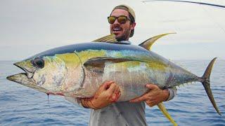 Monster Yellowfin Tuna- Perfect Sashimi