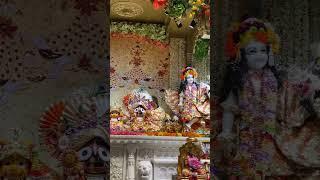 Sri Krishna Janmashtami(ISKCON Punjabi Bagh) #iskcon #janmashtami #madhavasrockband