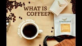 Coffee break ep. 1: What is coffee?