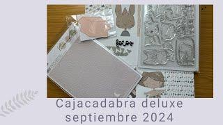 Cajacadabra deluxe septiembre 2024 y una reflexión