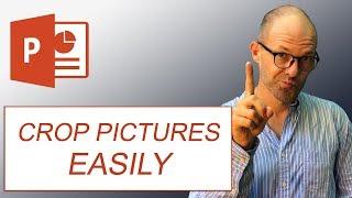 How To Crop Pictures in PowerPoint (the Forgotten Basics)