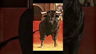 Rock and Bull scene | Red notice | Ryan Reynolds | Dwayne Johnson | #hollywood #rednotice #shorts