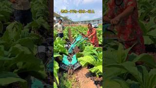 Amazing Farming Machine in Action  | JUST KD Agriculture | Part 113