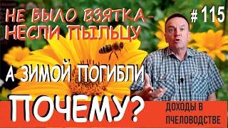 #115 Килограммы Пыльцы при Отсутствии взятка - Пчёлы сошли с Ума? - Изучаем Пчеловодство! "С.К."115.