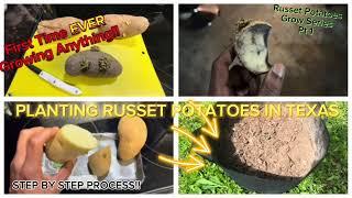 POTATO GROW SERIES PART 1 | PLANTING POTATOES | FIRST TIME GROWER | POV | 4K