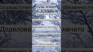 Прогноз на 17.12.2024. Энергия отстраненность! #нумерология #любовь #психология