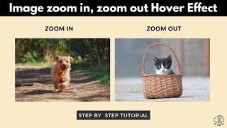 Image Zoom in Zoom out Hover Effect in WordPress Using CSS | WordPress Tips and Tricks