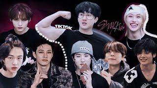 Stray kids tiktok compilation because stays are just as unserious as stray kids