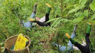 The couple went together to dig cassava and complete the vegetable garden