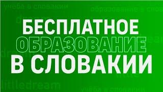 Бесплатное образование в Словакии | Учёба за границей с компанией Little Dream