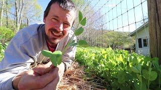 Take Care of Your Garden and It Will Take Care of You!