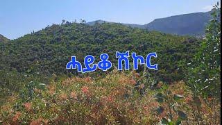 ሓይቆ 