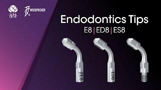 Woodpecker Endodontics Tips: E8, ED8, ES8 #woodpeckerdental  #endodontics  #endotips