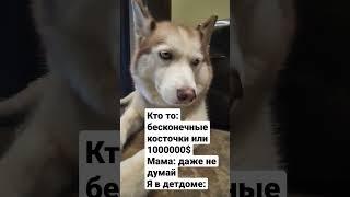 Мем про Альмусю. #хаски #ёжик #хочуврек #tiktok #мем