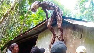 Mysterious Creature Caught In The Philippines Shocked Everyone!