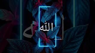 ক খ গ ঘ ঙ চ ছ জ ঝ ঞ ট ঠ ড ঢ ণ ত থ দ ধ ন প ফ ব ভ ম য র ল শ ষ স হ ঌ #sorts #shortvideo #youtube