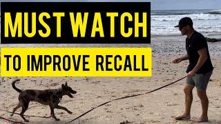 MUST watch if your dog doesn't come back #dog #dogtraining #dogs