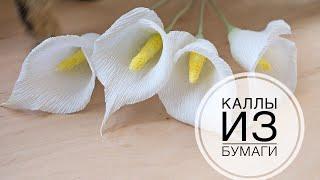 Paper callas / Каллы из бумаги / DIY Tsvoric