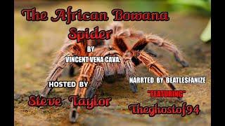 The African Bowana Spider