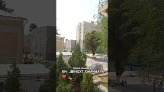 17 июня 2025 г.