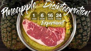 Will PINEAPPLE Completely DISINTEGRATE a STEAK? | Guga Foods