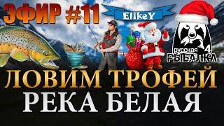 Ловим Трофей! • С Наступающим! • Фарм Серебра и Опыта • Река Белая • Русская Рыбалка 4 • ЭФИР #11