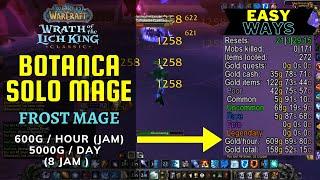 WOW CLASSIC WOTLK MAGE SOLO FARM BOTANICA 600G/H (JAM ) 5K/DAY CARA MUDAH