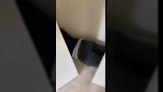 Amazing workers sleeping in closets compilation #shorts #carpentry #handyman #diy #tools #savage