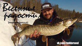 Ловля щуки весной на спиннинг. В марте на малой реке. Видео отчет от 16.03.2017 г.