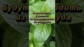 Перепишите и деньги будут приходить из ниоткуда   #магия #приметы #советы #эзотерика #ритуалы
