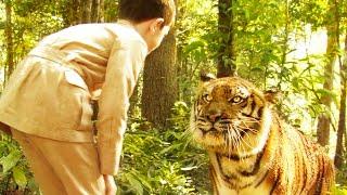 The friendship between a tiger and a boy