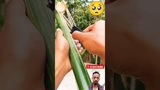 🟥#bambooshoot #bamboo #archery #technology #short #oro  #viralvideo #oromo #technology #react #duet