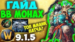 Лучший Гайд на ВВ Монаха WoW 9.1.5 Shadowlands! Топ Мили ДД Патча?